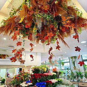 AUX FLEURS DE MARIE