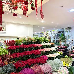 AUX FLEURS DE MARIE