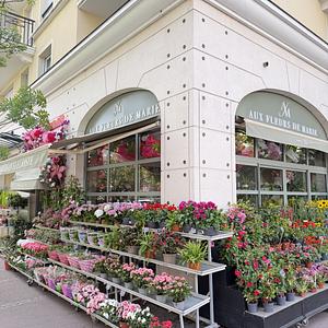 AUX FLEURS DE MARIE