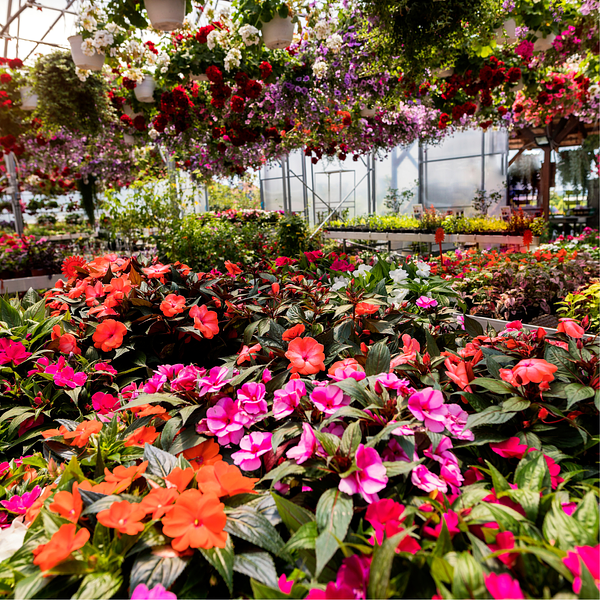 Vendeur en jardinerie - Photo 3