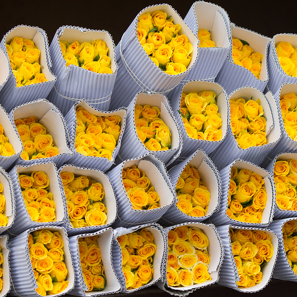 Responsable de site adjoint(e) - grossiste - Photo 2